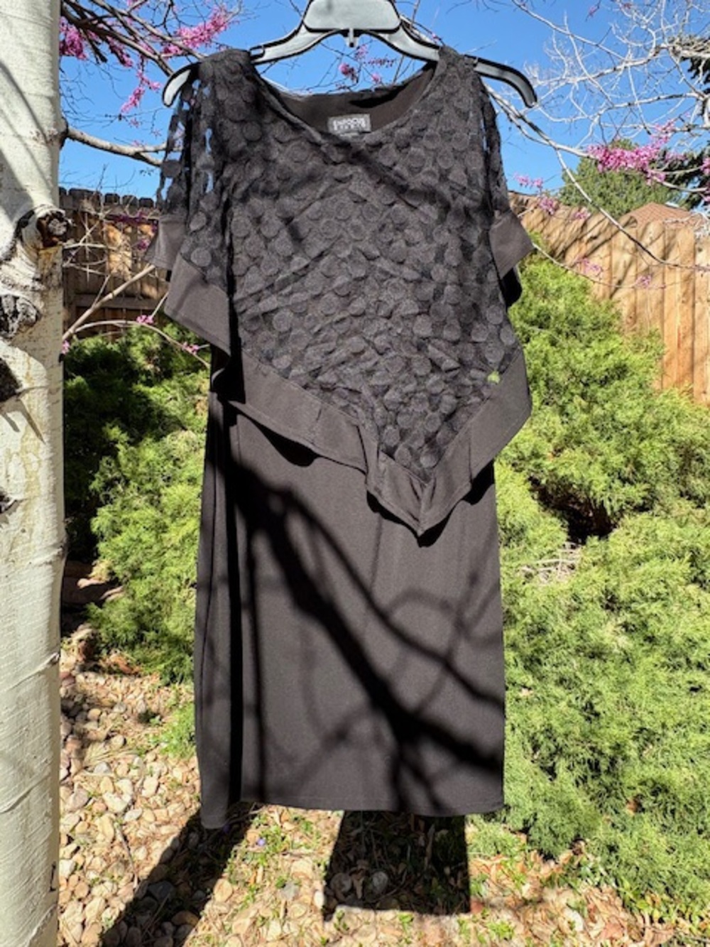 Classic Black Enfocus Dress Sheer Polka Dot Overlay never worn women’s size 4